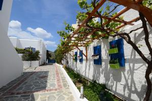 Vonkajšia záhrada v ubytovaní Deck1Syros Premium Apartments