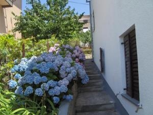 Zahrada ubytování Apartmani Mataija