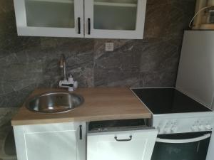 Kuchyň nebo kuchyňský kout v ubytování Apartmani Mataija