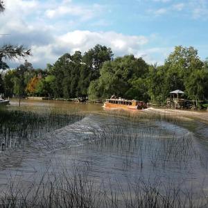 un barco está viajando por un río en Las Casuarinas del Rio Capitan en Tigre