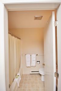 ein Bad mit einer Dusche, einem WC und Handtüchern in der Unterkunft River View Resort in Bethel