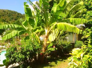 Jardin de l'établissement Pension De La Plage