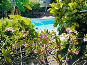 Jardin de l'établissement Pension De La Plage