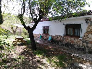 una casa con una mesa de picnic y un árbol en Olmedilla, en Olmeda de las Fuentes