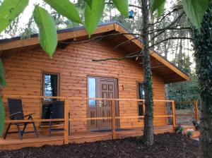 a log cabin in the woods with a porch at Butterfly cabin in Limerick