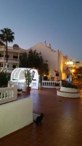 a cat sitting on the ground in front of a building at Charming Suite ocean view heated pool in Los Cristianos