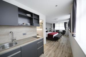 Kuchyň nebo kuchyňský kout v ubytování Business Apartments Reichenburg