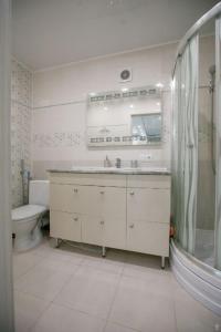 クロプィウヌィーツィクィイにあるApartments on Preobrazhenskayaのバスルーム(洗面台、トイレ、鏡付)
