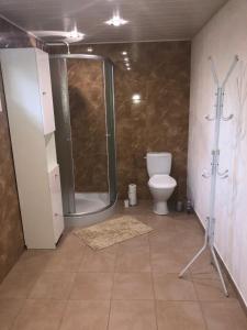 a bathroom with a shower and a toilet at Domek letniskowy na Mazurach in Giżycko