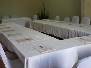 Konferenční prostory v ubytování Viola's Place