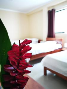 Un pat sau paturi într-o cameră la Hostal Cordillera Azul
