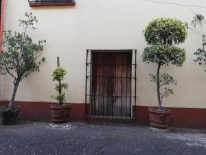 メキシコシティにあるHostal Centro de Coyoacanの鉢植えの木が三本前に立つ建物 +25枚の写真