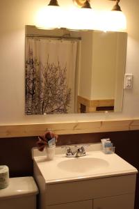 a bathroom with a sink and a mirror at Trail's End Motel Downtown Lewistown in Lewistown