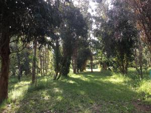 Zahrada ubytování Camping du Soleil
