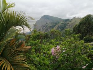 Gallery image of Tea Garden Holiday Inn in Ella