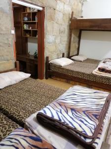 卜舍里的住宿－Tiger House Guest House，一间客房内配有两张双层床的房间