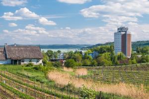 Gallery image of Füred Luxury Nyaralóház in Balatonfüred