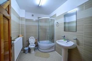 a bathroom with a toilet and a sink and a shower at Pensiunea Montana Muntele Mic in Muntele Mic +27 photos