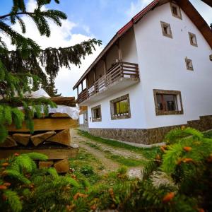 a large white building with a balcony on it at Pensiunea Montana Muntele Mic in Muntele Mic