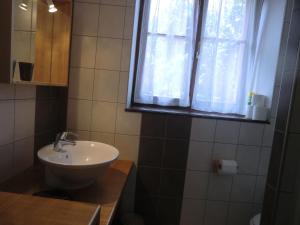 コルマールにあるGite "Karcher"のバスルーム(洗面台、窓付)