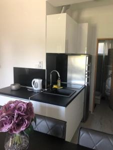 Kuchyňa alebo kuchynka v ubytovaní apartmani mihaljević