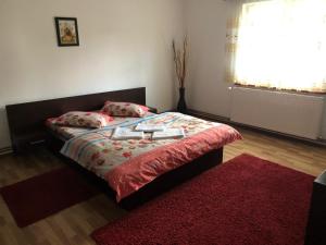 a bedroom with a bed with a red rug and a window at Casa Maria in Bran