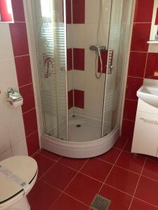 a bathroom with a shower and a toilet at Casa Maria in Bran +10 photos