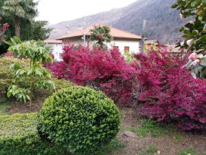 Zahrada ubytování B&B Villa Dei Pini