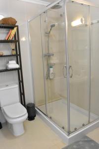 a shower stall in a bathroom with a toilet at Apartamentos Las Naranjas in Jerez de la Frontera