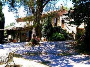 a house with a tree and a bench in front of it at Podere Pinzicalari in Castel del Piano