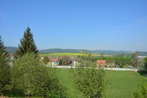 Príroda v okolí vily