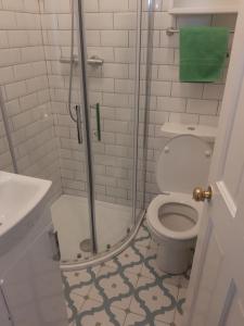 a bathroom with a shower with a toilet and a sink at Acara House B&B in Dublin