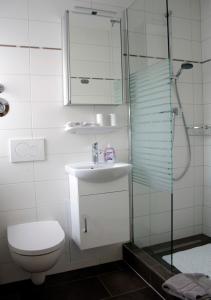 uma casa de banho com um WC, um lavatório e um chuveiro em Ferienwohnung Gessert em Querfurt
