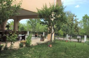a patio with a tree in a yard at Dream Studios in Orestiada