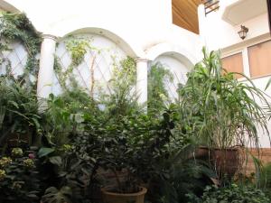 a greenhouse full of plants in a building at Melissa II Hotel in Eleusis