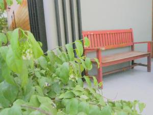 Billede fra billedgalleriet på Lotto House i Ko Samed