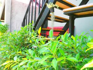 Billede fra billedgalleriet på Lotto House i Ko Samed