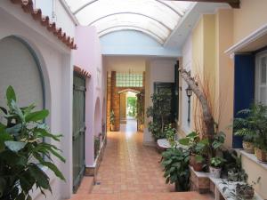 a hallway with plants and a glass ceiling at Melissa II Hotel in Eleusis