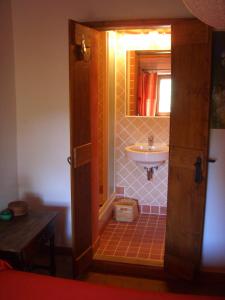 a bathroom with a sink and a mirror at Podere Pinzicalari in Castel del Piano