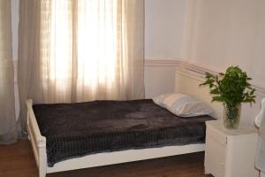 Postel nebo postele na pokoji v ubytování Guest house Amazon