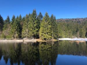 Blick auf einen See mit Bäumen im Hintergrund in der Unterkunft Ma Montagne Chic in La Bresse