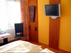 Televízia a/alebo spoločenská miestnosť v ubytovaní Hotel am Wasserturm