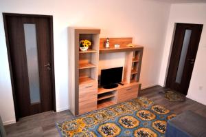a living room with a tv and a book shelf at Mariuca Apartament in Mangalia