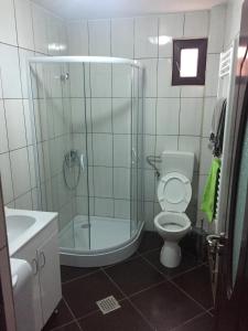Kylpyhuone majoituspaikassa Vila Chiojdu