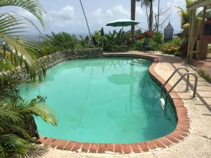 Canovanas的住宿－El Pequeño Hotel，环绕着酒店的砖砌小径的游泳池