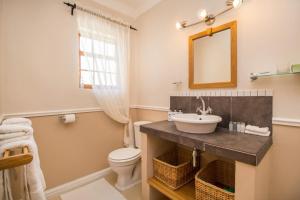 een badkamer met een wastafel, een toilet en een spiegel bij Montagu Vines Guesthouse in Montagu