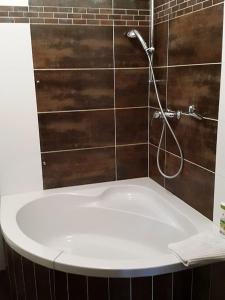 a bath tub in a bathroom with a shower at Penzion Fermata in Ostrava