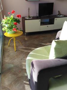 TV/trung tâm giải trí tại Jelena's Luxury Apartments