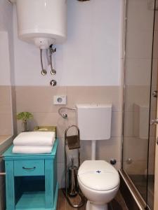 a bathroom with a toilet and a glass shower at Historical Old town apartments in Dubrovnik