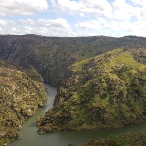 een luchtzicht op een rivier tussen twee bergen bij Flor Do Douro in Miranda do Douro